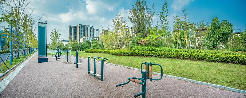 塑形强迫次数训练：科学瘦身的秘诀在这里